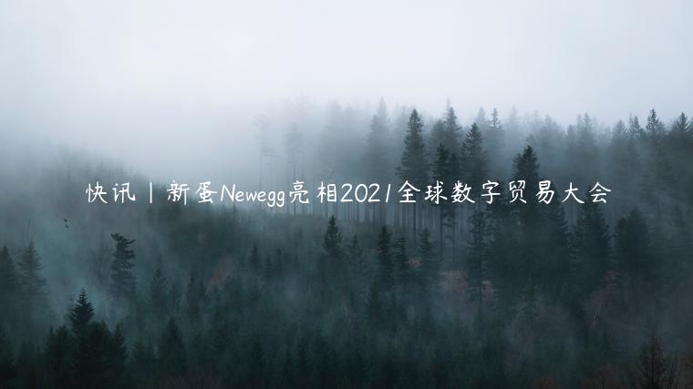 快訊|新蛋Newegg亮相2021全球數(shù)字貿(mào)易大會(huì)